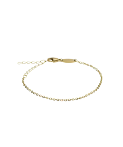 Blomdahl Armband Blomdahl Guldglänsande Armband G Original 14-19 cm