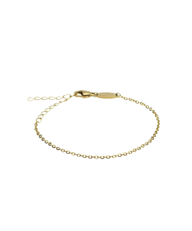 Blomdahl Armband Blomdahl Guldglänsande Armband G Original 14-19 cm
