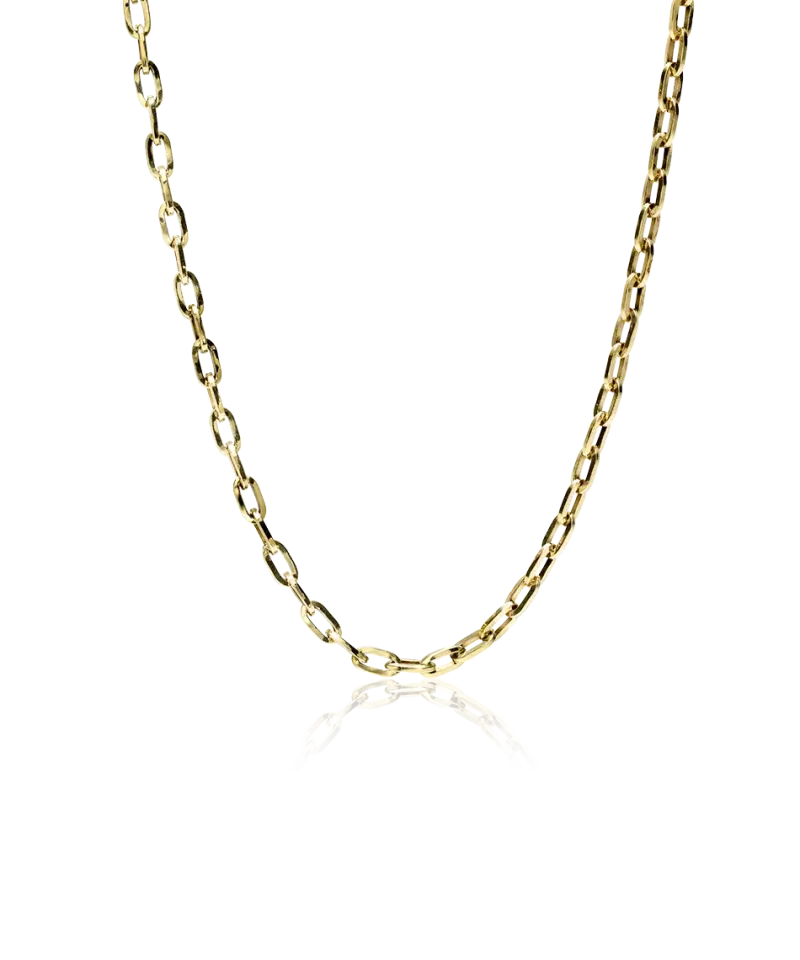 Blomdahl Halsband Blomdahl Guld Medium Link 52 cm – 33-23953-00