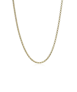 Blomdahl Halsband Blomdahl Guld Tiny Box Chain 48-52 cm – 33-23993-00