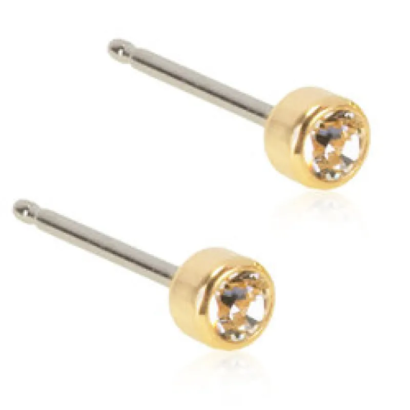 Blomdahl Örhängen Bezel Crystal 3 mm 15‑1302‑01