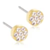 Blomdahl Örhängen Brilliance Plenary Crystal 5 mm 15‑13166‑01