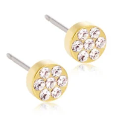 Blomdahl Örhängen Brilliance Plenary Crystal 5 mm 15‑13166‑01