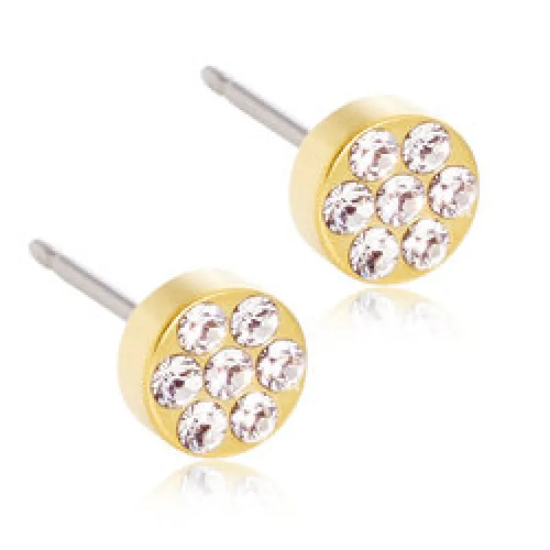 Blomdahl Örhängen Brilliance Plenary Crystal 5 mm 15‑13166‑01