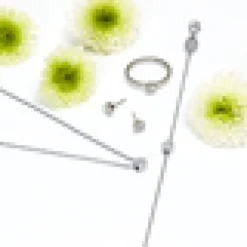 Blomdahl Örhängen Brilliance Plenary Crystal 5 mm 15‑12166‑01