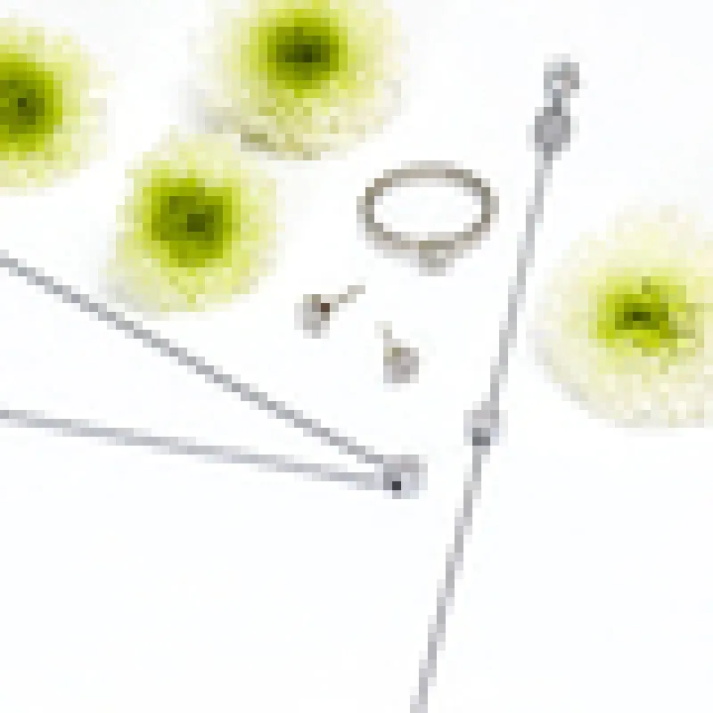 Blomdahl Örhängen Brilliance Plenary Crystal 5 mm 15‑12166‑01
