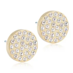 Blomdahl Örhängen Brilliance Plenary Crystal 10 mm 15‑1366‑01