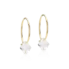 Blomdahl Örhängen GT 14 mm Crystal 15-1347-01