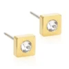Blomdahl Örhängen Petite Square Crystal 15‑1319‑01
