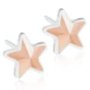 Blomdahl Örhängen Star Golden Rose 15‑0108‑75