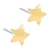Blomdahl Örhängen Star 8 mm 15‑1322‑00