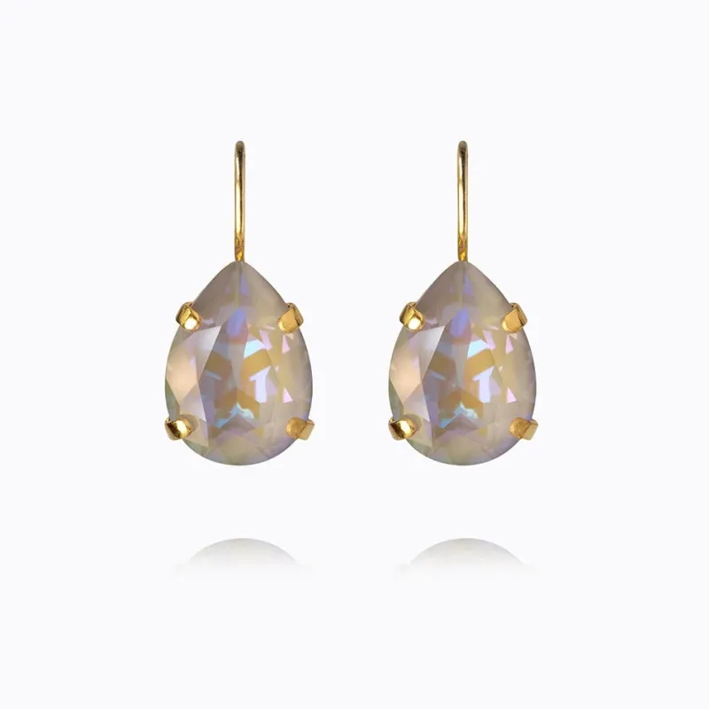 Caroline Svedbom Mini Drop Clasp Örhängen/ Serene Delite (Guld)