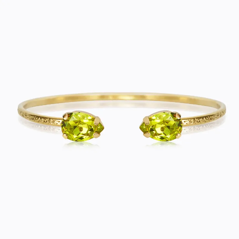 Caroline Svedbom Armband Caroline Svedbom Petite Drop Armband / Citrus Green (Guld)