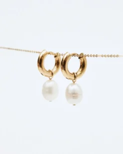 Edblad Perla Hoops L – Guld