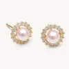 Lily And Rose Colette Pärl Stud Örhängen – Rosaline (Guld) 65091