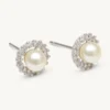 Lily And Rose Colette Pärl Stud Örhängen – Ivory (Silver) 65092