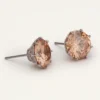 Lily And Rose Elenora studs Champagne – Silver