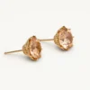 Lily And Rose Elenora studs Champagne – Guld