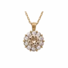 Halsband Lily And Rose Sofia Champagne 40247