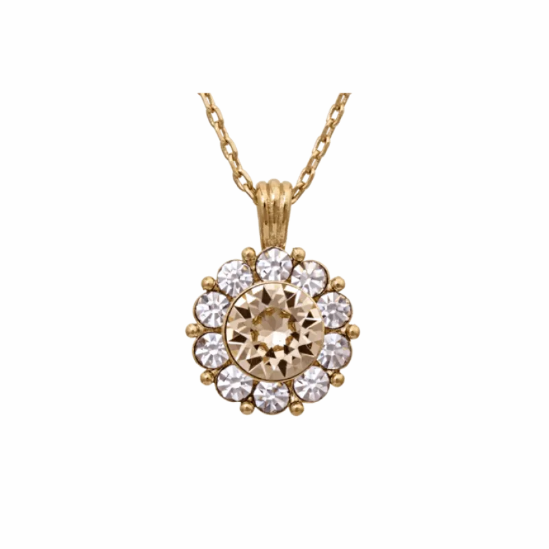 Halsband Lily And Rose Sofia Champagne 40247