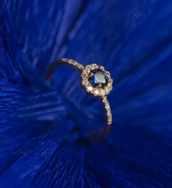 Lily And Rose Laurie Ring Guld – Sapphire (30705)