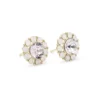 Lily And Rose Miss Sofia Örhängen – Light Amethyst (Guld) 61069