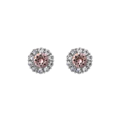 Lily And Rose Miss Sofia Örhängen– Vintage Rose 61078 (Silver)