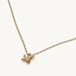 Lily And Rose Petite Eponine Halsband Guld – (241201)