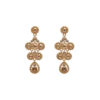 Lily And Rose Petite Miss Kate Örhängen- Champagne 62232 (Guld)