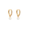 Lily And Rose Örhängen Petite Kennedy Hoops Ivory Pearl (Guld) 62312