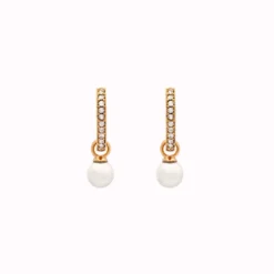 Lily And Rose Örhängen Petite Kennedy Hoops Ivory Pearl (Guld) 62312