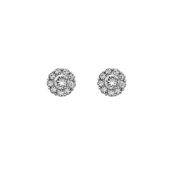 Lily And Rose Örhängen Petite Miss Sofia Crystal (Silver) 62292