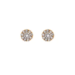Lily And Rose Örhängen Petite Miss Sofia Crystal (Guld) 62291