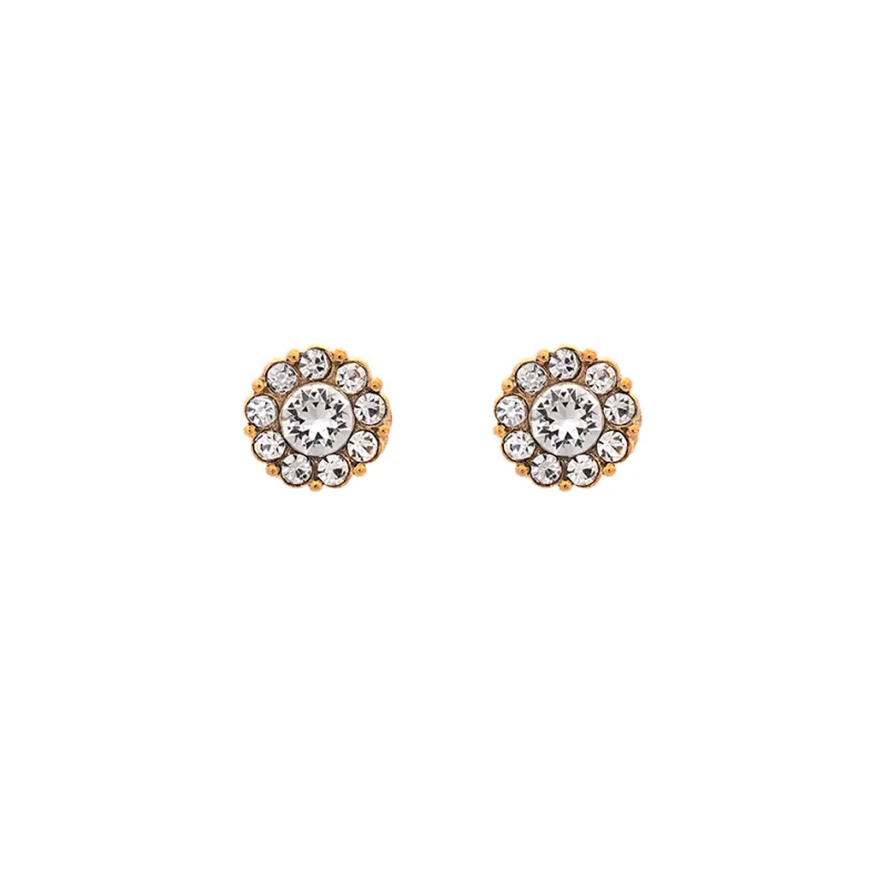 Lily And Rose Örhängen Petite Miss Sofia Crystal (Guld) 62291