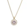 Lily And Rose Sofia Halsband – Light Amethyst (Guld) 40288