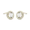 Lily And Rose Stella Örhängen – Crystal (Guld) 65022
