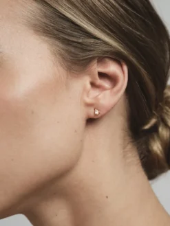 Mockberg Belle Studs Örhängen Medium Guld – Champagne