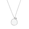 Skagen Halsband SKJ0566040