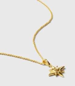 Halsband Syster P North Star Big Guld