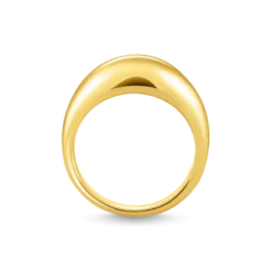 Thomas Sabo Ring Guld TR2472-413-39