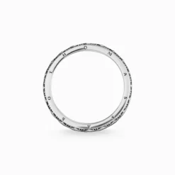 Thomas Sabo Ring Silver TR2106-643-11-62