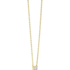 Ti Sento Halsband 3894ZY