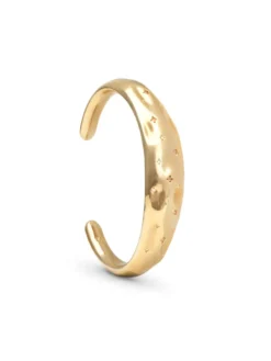 Armband YLVA LI Bertha Bangle Guld 5041